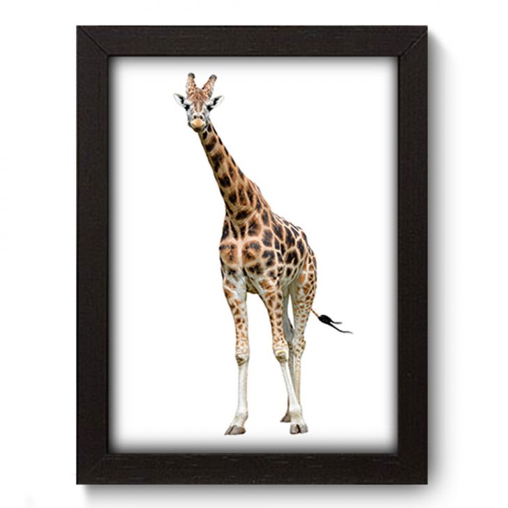 Quadro Decorativo - Girafa - 080qds