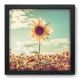 Quadro Decorativo - Girassol - 33cm x 33cm - 021qnfbp