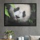 Quadro Decorativo Panda Nas Folhas Verdes-34x49Cm