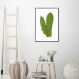 Quadro Botânica Polypodium Musaefolium 60x43 Filete Preto