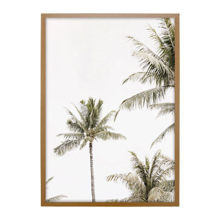 Quadro Natural Coqueiros I sem Vidro Colorido 50x70 cm