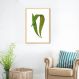 Quadro Botânica Polypodium Nitidum 43x30 Caixa Marfim