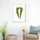 Quadro Botânica Polypodium Nitidum 43x30 Filete Marfim