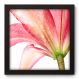 Quadro Decorativo - Flor - 22cm x 22cm - 013qnfap