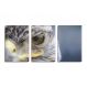 Trio de quadros decorativos Olhos da Águia Grande 130x60cm