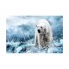 Painel Adesivo de Parede - Urso Polar - 228pn-M