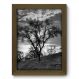 Quadro Decorativo - Campo - 130qdpm