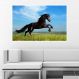 Painel Fotográfico Adesivo Animais 9- Medio 66x90cm