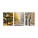 Trio de quadros decorativos Chemin de l'arbre Pequeno 95x40cm