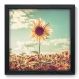 Quadro Decorativo - Girasol - 065qdfp