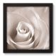 Quadro Decorativo - Rosa - 22cm x 22cm - 001qnfap