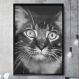 Quadro Decorativo Gato Preto e Branco-24x34Cm