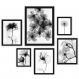 Kit 6 Quadros Flores Transparentes Preto E Branco - com vidro