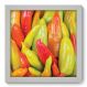 Quadro Decorativo - Pimenta - 234qdcb