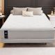 Cama Box Conjugado Queen com Colchão (158x64x198) Nevasca Gazin CR35296 Branco/Cinza Claro