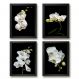 Kit 4 Quadros Florais Fotografias Orquídeas 45x34cm - com vidro