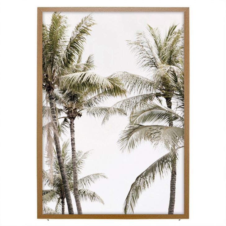 Quadro Natural Coqueiros II sem Vidro Colorido 50x70 cm