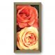 Quadro Decorativo - Rosas - 055qdf