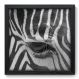 Quadro Decorativo - Zebra - 33cm x 33cm - 003qnsbp