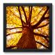 Quadro Decorativo - Árvore - 33cm x 33cm - 030qndbp