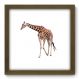 Quadro Decorativo - Girafa - 129qdsm
