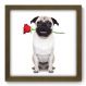 Quadro Decorativo - Dog - 029qdom