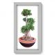 Quadro Decorativo - Bonsai - 280qddb