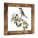 Placa decorativa 38x38cm - Série vintage passarinhos