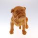 Enfeite - Bulldog amarelo
