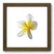 Quadro Decorativo - Flor - 075qdfm