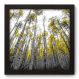 Quadro Decorativo - Floresta - 22cm x 22cm - 060qndap