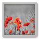 Quadro Decorativo - Flores - 066qdfb