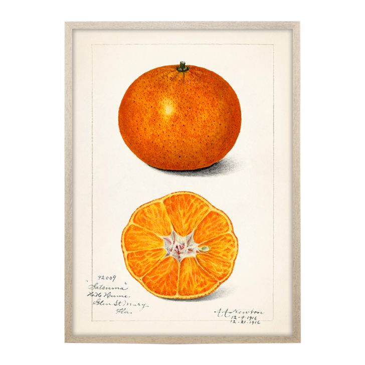 Quadro Cozinha Laranja com Vidro Colorido 40x60 cm