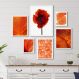 Kit 6 Quadros Laranjas- Abstrato Flores Folhas - com vidro