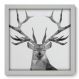 Quadro Decorativo - Deer - 044qdsb