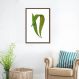 Quadro Botânica Polypodium Nitidum 43x30 Caixa Marrom