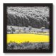 Quadro Decorativo - Campo - 22cm x 22cm - 070qnpap