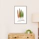 Quadro Botânica Folhas Niphobolus Ingua 100x70 Filete Marrom