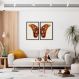 Quadro Asas de Borboleta Boho 88x60 2-60x43 Caixa Preto