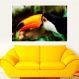 Painel Fotográfico Adesivo Animais 20- Pequeno 56x67cm