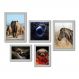 Kit Com 5 Quadros Decorativos - Animais Elefante Zebra Inseto - 071kq01b