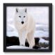 Quadro Decorativo - Lobo - 019qds