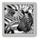 Quadro Decorativo - Zebras - 22cm x 22cm - 001qnsab