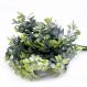 Folhagem Buxo Verde Orvalho com Powder Plástico 13x33 cm - D'Rossi