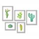 Kit Com 5 Quadros Decorativos - Cactos Plantas Natureza - 021kq01b