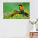 Painel Fotográfico Adesivo Animais 34- Pequeno 56x67cm