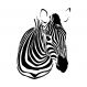 Adesivo de Parede - Zebra - 003an-M