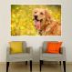Painel Fotográfico Adesivo Animais 35- Grande 90x135cm