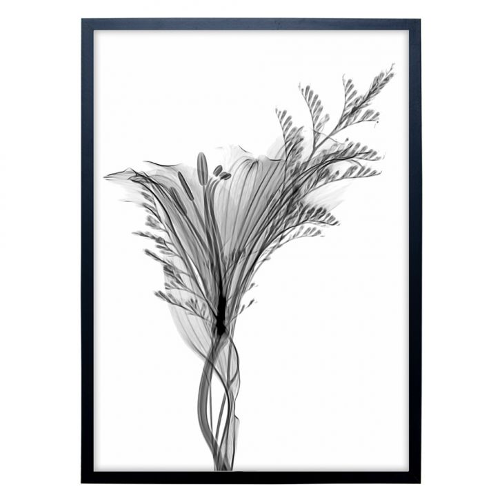 Quadro Clássico Floral Raio-X I com Vidro Preto e Branco 50x70 cm