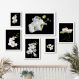 Kit 6 Quadros Florais Fotografias Orquídeas - com vidro